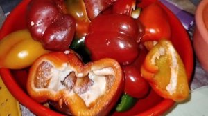 Заморозка помидоров на зиму