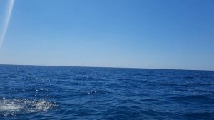 ОЛЬГИНКА В ОТКРЫТОМ МОРЕ!!!