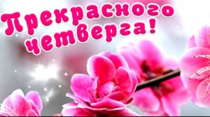 С ДОБРЫМ УТРОМ ЧЕТВЕРГА !