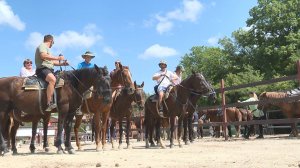 Для участников СВО из Анапы организовали конную прогулку