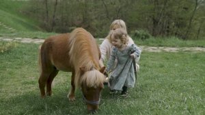 7671111-uhd_3840_2160_24fps