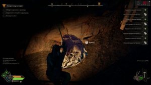 Robin Hood - Прохождение (Без комментариев) #21