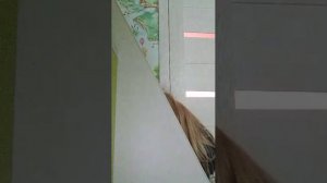 просто 1 дома.