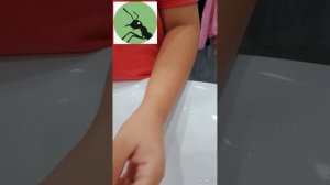 мойка улитки ахатины