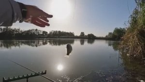 Тут хороший клёв карася, рыбалка на донную снасть!