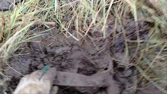 Металлокоп . На полях кг. 80 накопали .