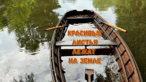 «КРАСИВЫЕ ЛИСТЬЯ ЛЕЖАТ НА ЗЕМЛЕ»