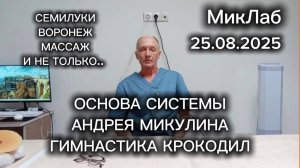 Основа Системы Андрея Микулина - Гимнастика Крокодил. Семилуки Массаж. 26.08.2025. МикЛаб