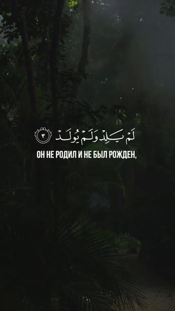 Сура 112 "Аль-Ихляс" красивое чтение Корана смотреть онлайн