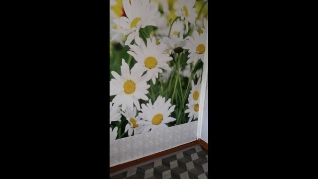 общ Ипподромская 22-1