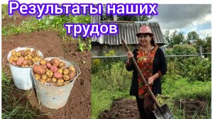 Наступила пора копать картошку 🥔😁🤩😍