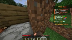 играем в майнкрафт на сервере домера