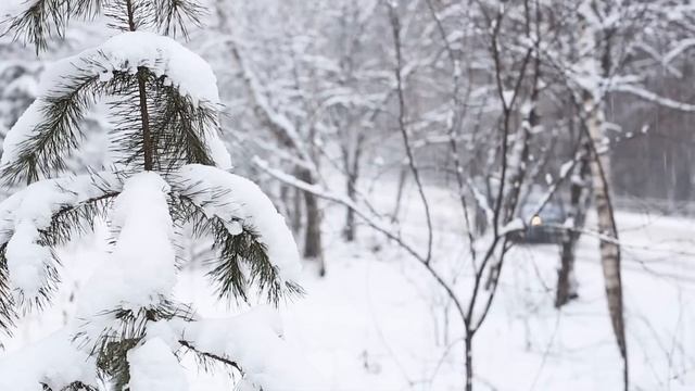 Виктор Горшков.  Завтрашний день.  Victor Gorshkov. Tomorrow