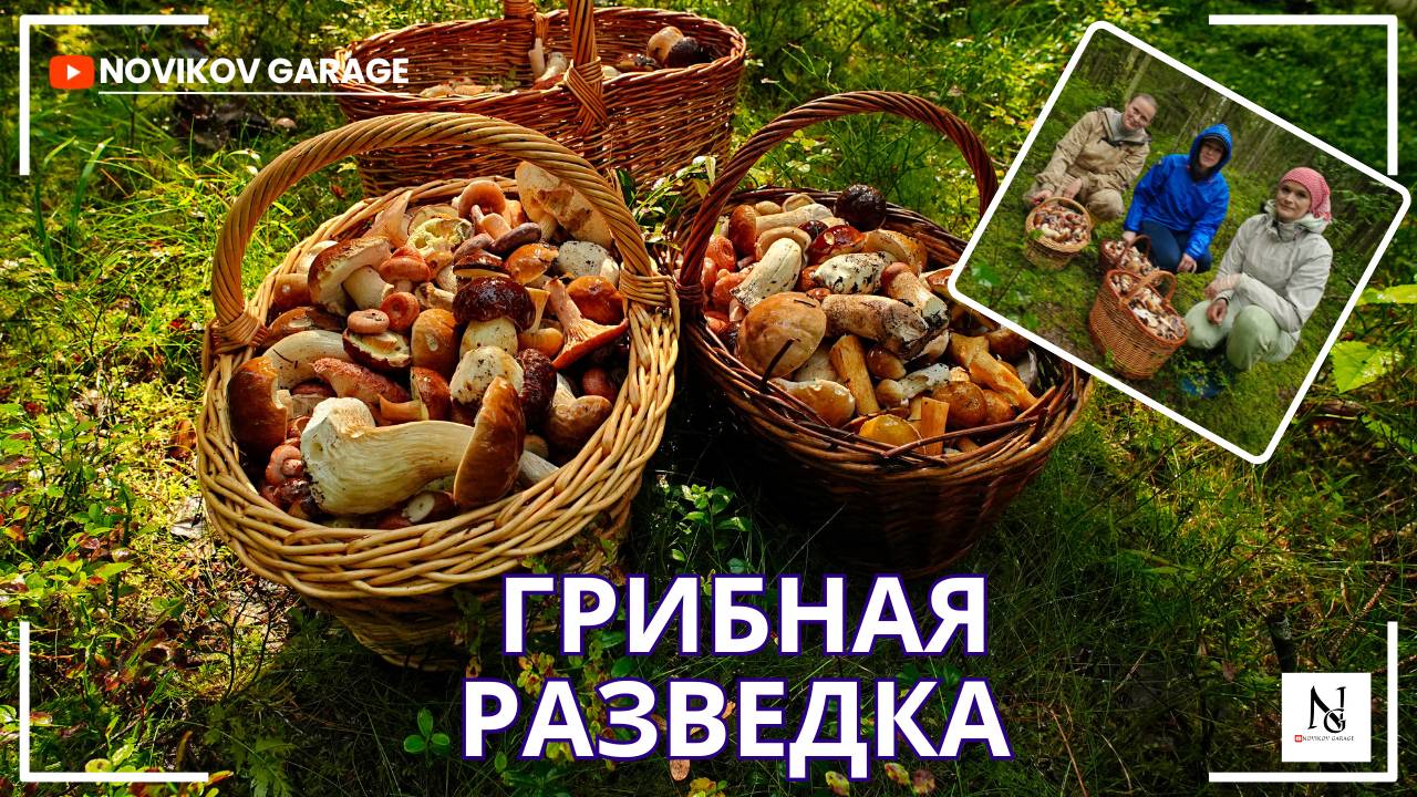 Грибная разведка 26 августа 2025. Всеволожский район. смотреть онлайн