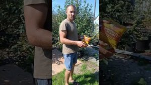 Какие осенние удобрения используют в холодной Сибири.