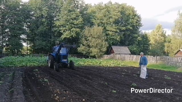 МТЗ-82 с польской картофелекопалкой Z-609 после ремонта смотреть онлайн