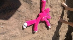 Отсылка на сосиску толю