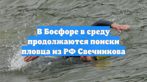 В Босфоре в среду продолжаются поиски пловца из РФ Свечникова
