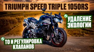 Обслуживание мотоцикла Triumph Speed Triple 1050RS