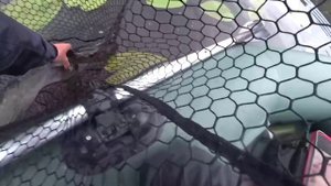 Щука за трёшку — достойная награда терпеливому рыбаку. 😊