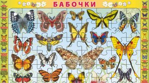 Собираем детский пазл на подложке "Бабочки"
