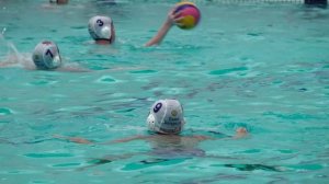 Территория спорта, 27.08.2025