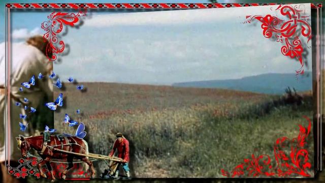 В земле наши корни смотреть онлайн