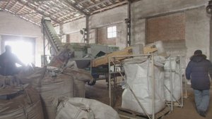 Услуга калибровки семян по удельному весу с выездом в хозяйство