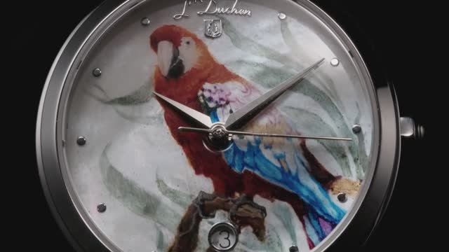 D 801.1 - Лазурный Попугай смотреть онлайн