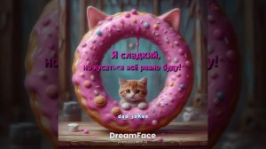 Котик пончик