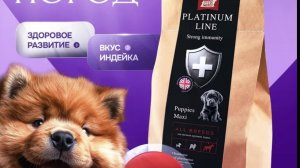Обзор на buddy dinner для крупных щенков. Платинум, мать его!