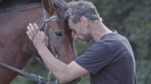 13891644_3840_2160_30fps