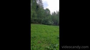 Райконкоски 330