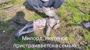 27-08-2025 милорд