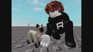 Этот кот явно не добрый