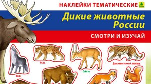 Дикие животные России. Наклейки детские (стикеры) +раскраска