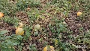 Тоскливо, проводили Женю