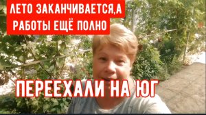 #72🌷Гости с Ейска с гостиницами/Убираю малину во дворе/Работа не заканчивается