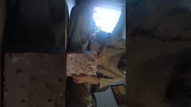 быстрый обзор