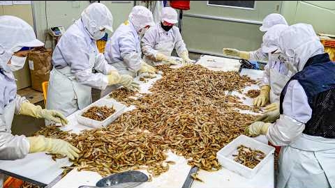 оладьи на 80% из креветок из Кореи