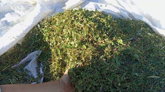 Продукт переработки смотреть онлайн