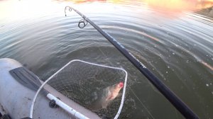 пять метров нет с11 да мощный клев сазана с этой глубины в конце августа #сазан #дон #рыбалка #кайф