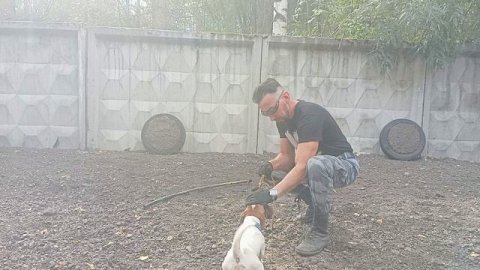 Тренировка