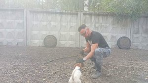 Тренировка