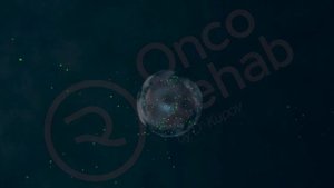 Способы лечения онкологии | Адаптивная лимфотропная фотодинамическая терапия в Onco.Rehab