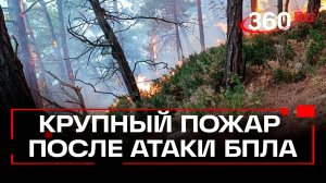 Под Геленджиком – крупный лесной пожар, возникший после ударов беспилотниками