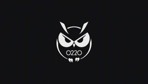 0220 Российский бренд женской одежды