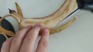 это нееросеть 100%