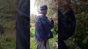 О проблемах с шейно-воротниковой зоной.