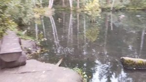 28-08-2025  Радоваться с Радой